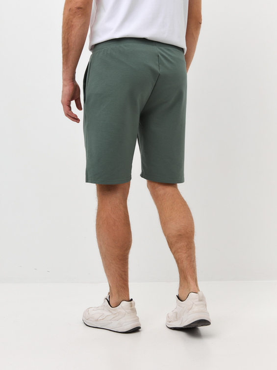 Шорты мужские